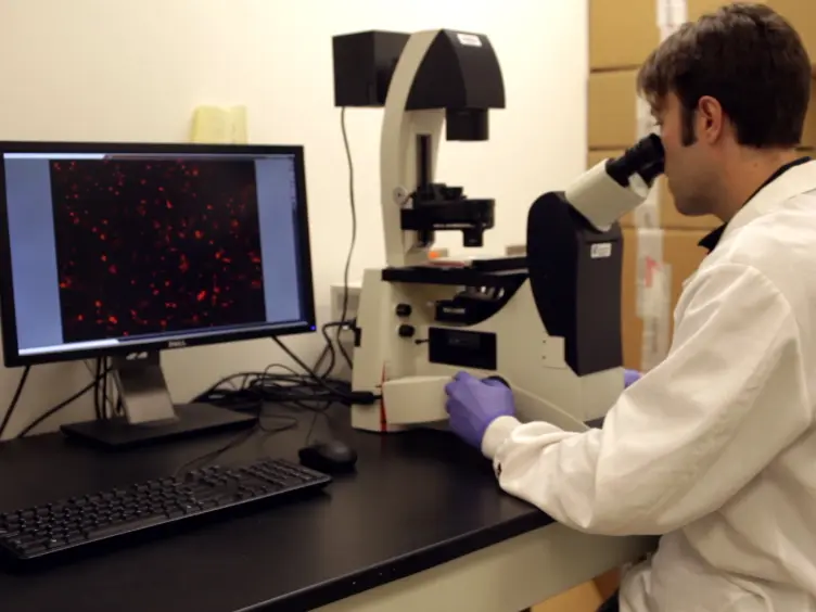 Detection of miRNA Targets in High-throughput Using the 3'LIFE Assay