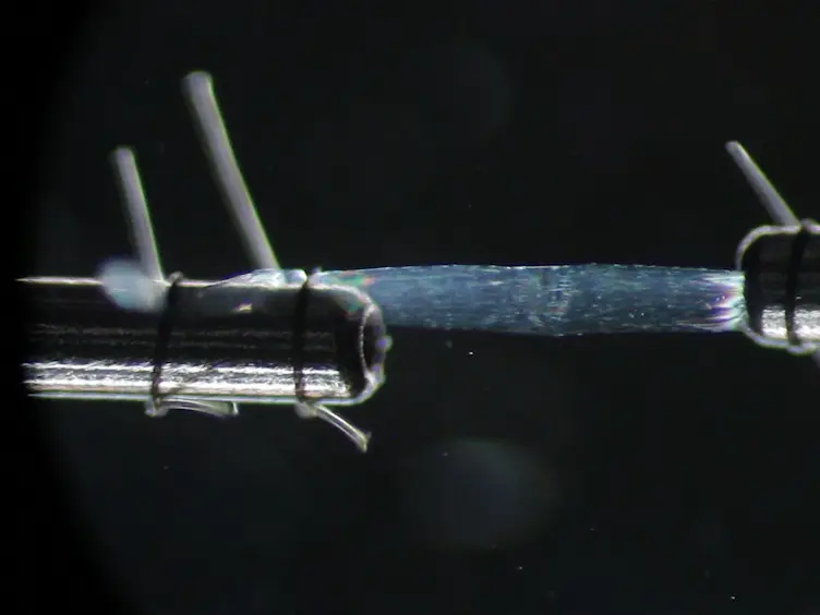 Measurement of Maximum Isometric Force Generated by Permeabilized Skeletal Muscle Fibers