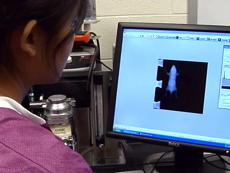 Real-time X-ray Imaging of Lung Fluid Volumes in Neonatal Mouse Lung