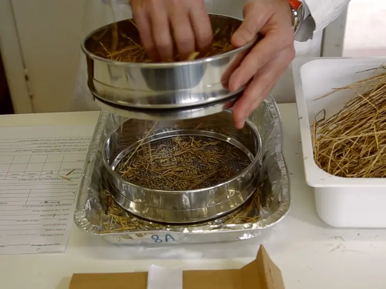 Protocols for Robust Herbicide Resistance Testing in Different Weed Species