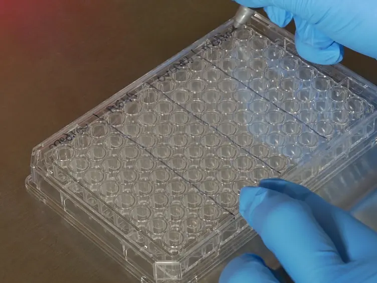 Photodynamic Therapy with Blended Conducting Polymer/Fullerene Nanoparticle Photosensitizers
