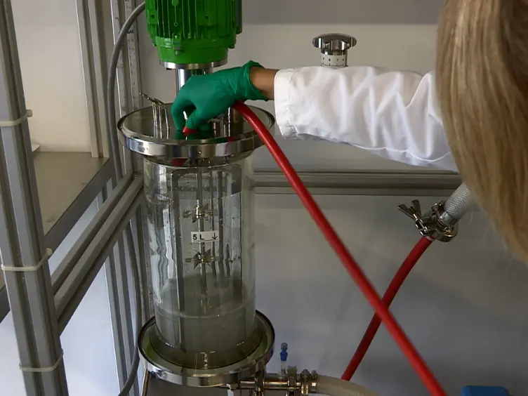 A Cost-effective and Reliable Method to Predict Mechanical Stress in Single-use and Standard Pumps