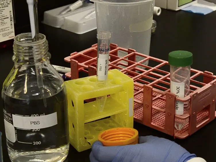Identification of Kinase-substrate Pairs Using High Throughput Screening