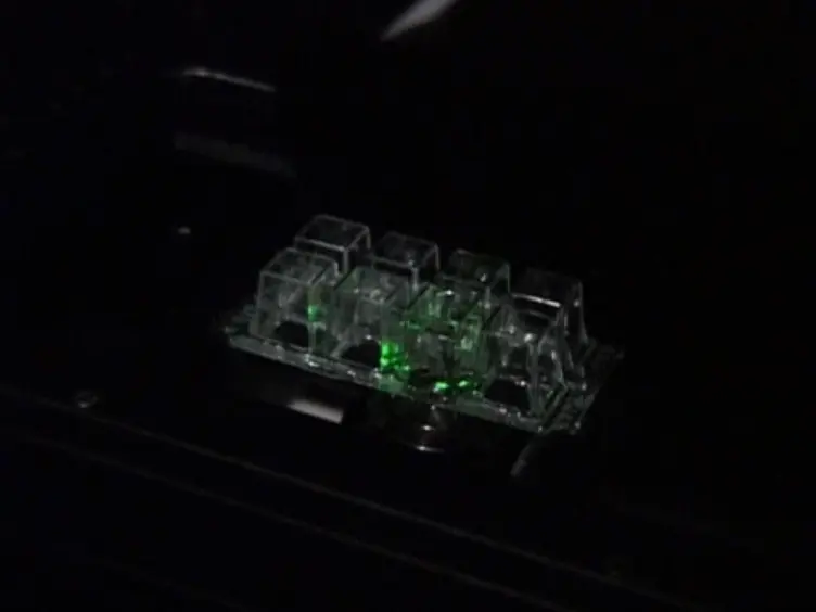 Measuring TCR-pMHC Binding <em>In Situ</em> using a FRET-based Microscopy Assay