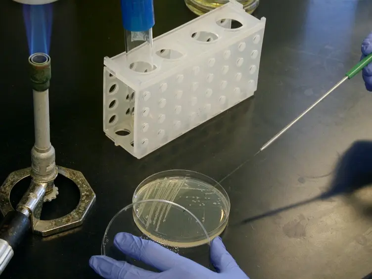 Production of Double-stranded DNA Ministrings