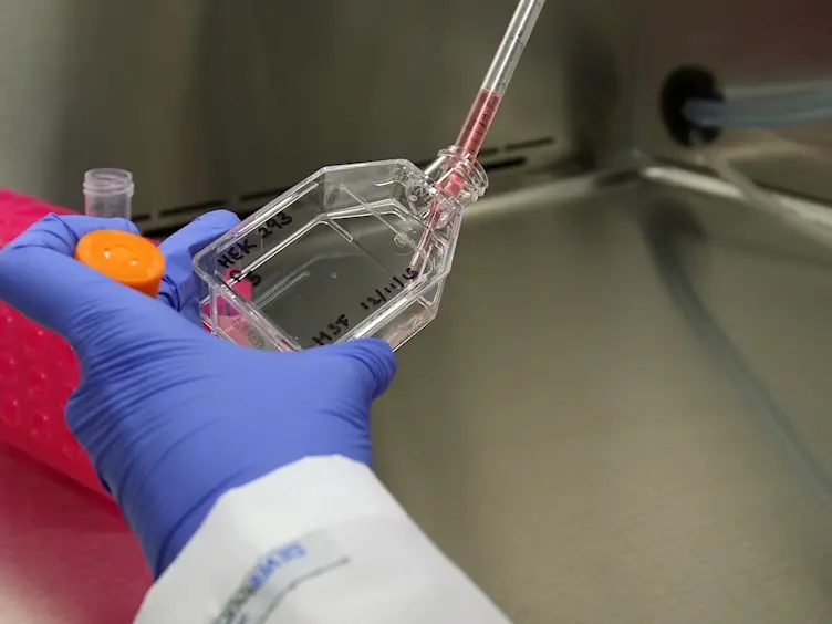 Construction of Cell-based Neurotransmitter Fluorescent Engineered Reporters (CNiFERs) for Optical Detection of Neurotransmitters <em>In Vivo</em>