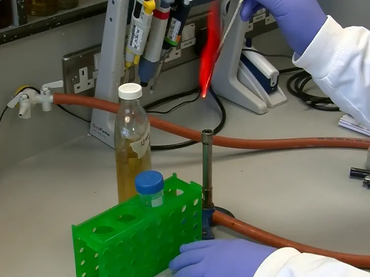 Biomimetic Materials to Characterize Bacteria-host Interactions