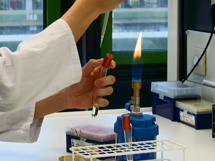 Light-driven Enzymatic Decarboxylation