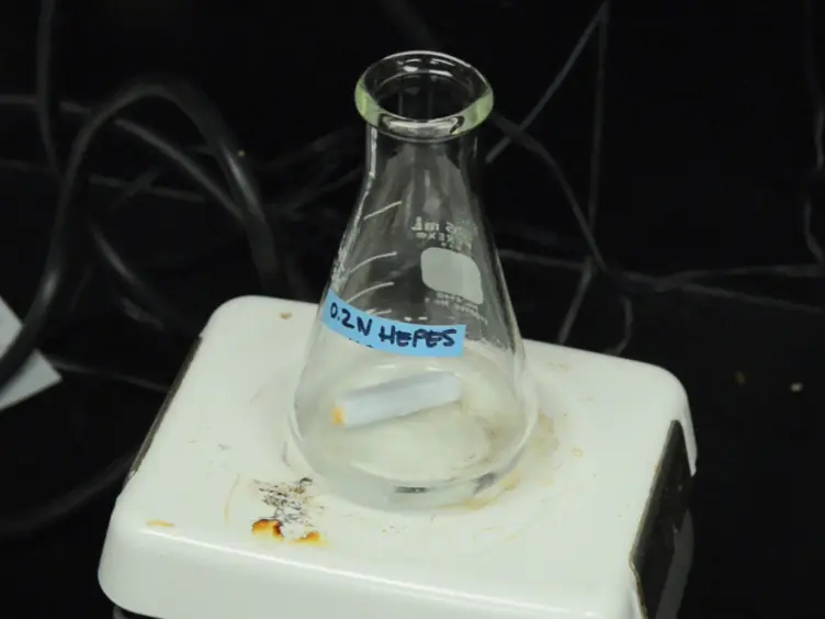Three-dimensional Biomimetic Technology: Novel Biorubber Creates Defined Micro- and Macro-scale Architectures in Collagen Hydrogels