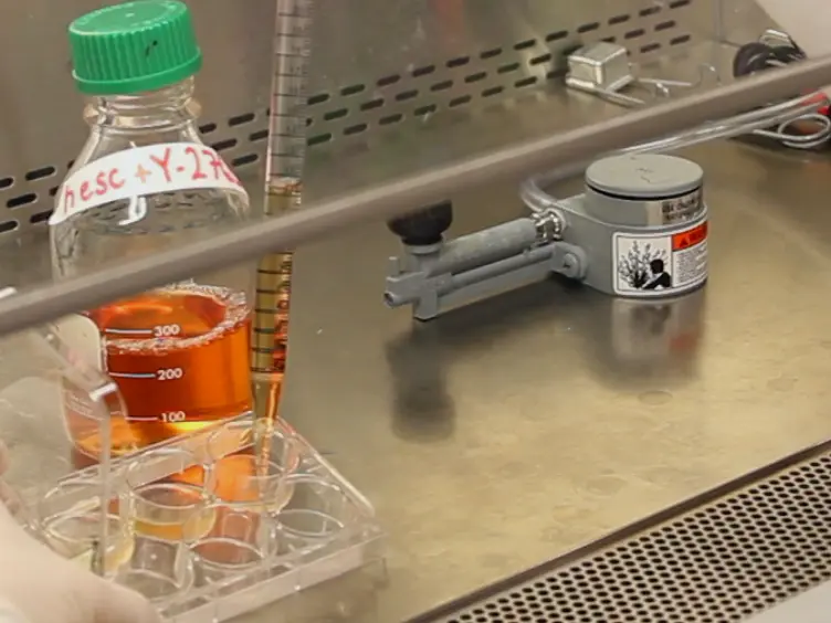 Establishment of Genome-edited Human Pluripotent Stem Cell Lines: From Targeting to Isolation