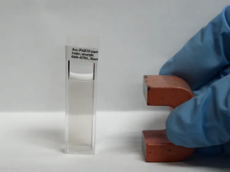 Multifunctional Hybrid Fe<sub>2</sub>O<sub>3</sub>-Au Nanoparticles for Efficient Plasmonic Heating