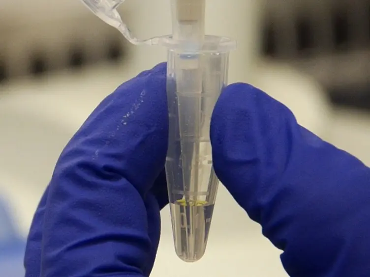 A Duplex Digital PCR Assay for Simultaneous Quantification of the <em>Enterococcus spp.</em> and the Human Fecal-associated HF183 Marker in Waters