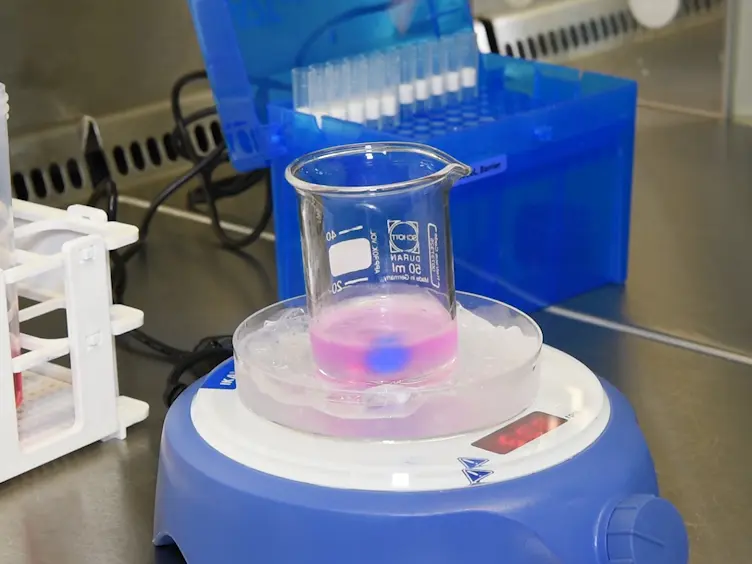Improving 2D and 3D Skin <em>In Vitro</em> Models Using Macromolecular Crowding