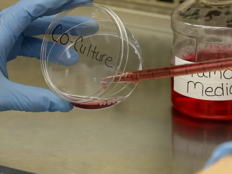 Modeling Chemotherapy Resistant Leukemia <em>In Vitro</em>