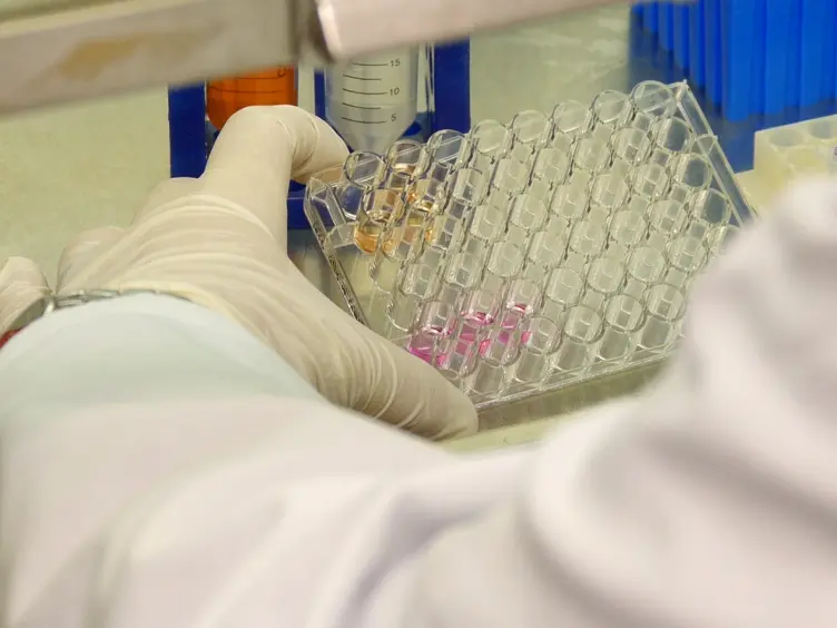 Highly Sensitive Assay for Measurement of Arenavirus-cell Attachment