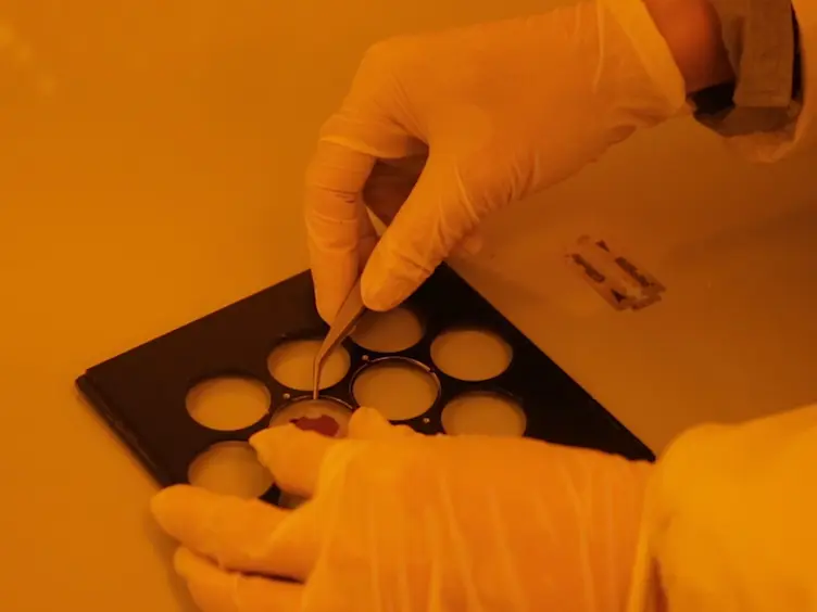 Free-form Light Actuators &#8212; Fabrication and Control of Actuation in Microscopic Scale