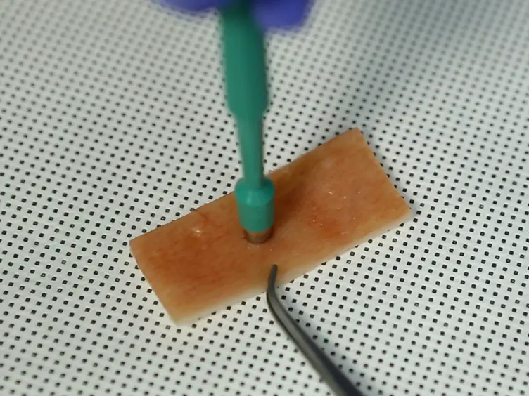 TAPE: A Biodegradable Hemostatic Glue Inspired by a Ubiquitous Compound in Plants for Surgical Application