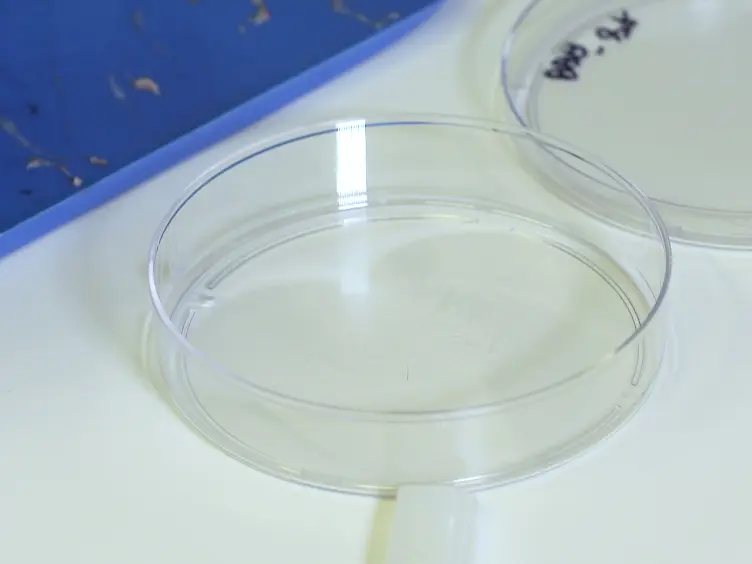 Isolating Hair Follicle Stem Cells and Epidermal Keratinocytes from Dorsal Mouse Skin