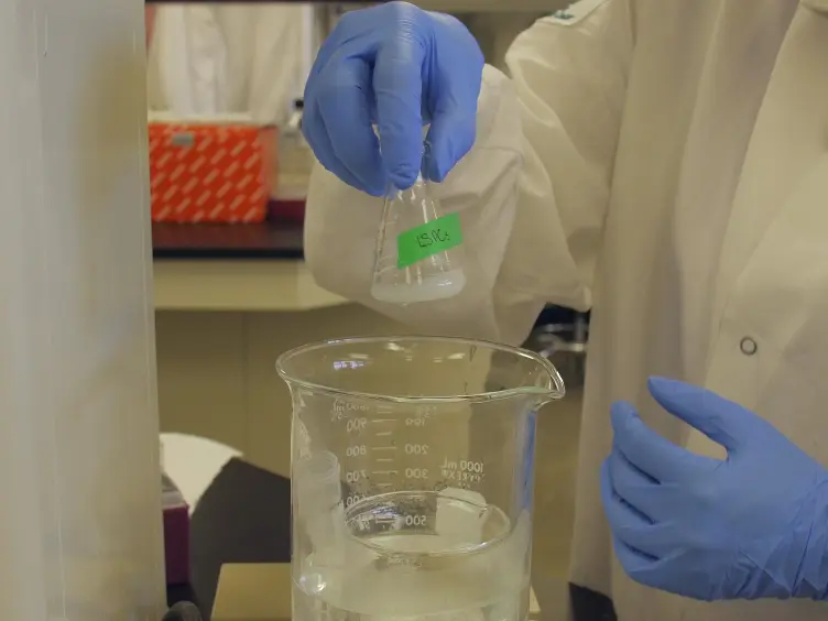Delivery of Therapeutic siRNA to the CNS Using Cationic and Anionic Liposomes