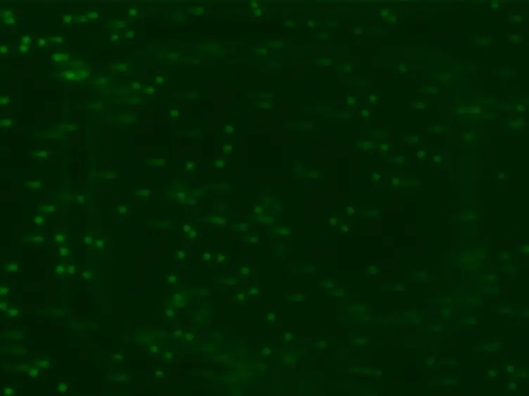 Microfluidic Pneumatic Cages: A Novel Approach for In-chip Crystal Trapping, Manipulation and Controlled Chemical Treatment