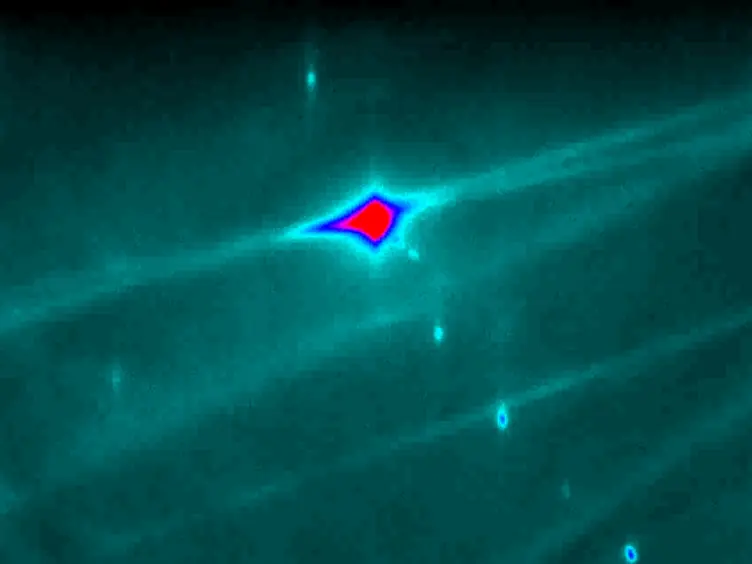 Epitaxial Growth of Perovskite Strontium Titanate on Germanium via Atomic Layer Deposition