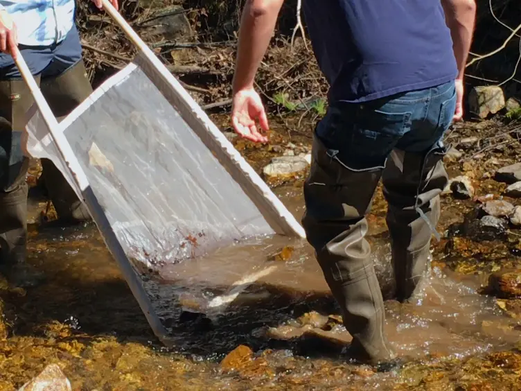 A Simple Approach to Manipulate Dissolved Oxygen for Animal Behavior Observations