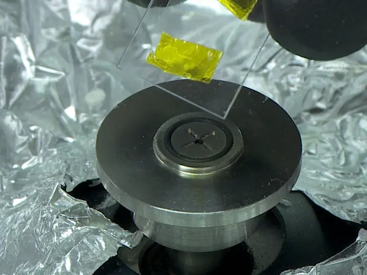 Capture and Release of Viable Circulating Tumor Cells from Blood