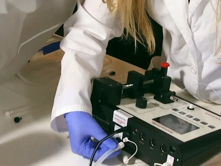 Use of a Low-flow Digital Anesthesia System for Mice and Rats