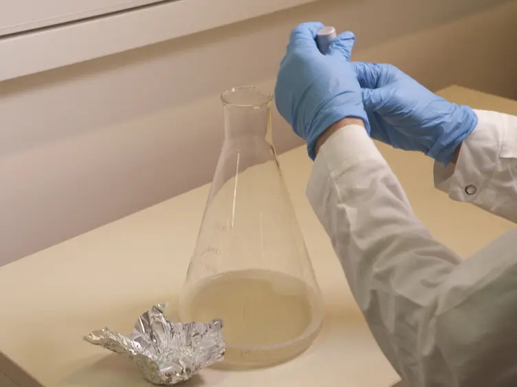 Novel RNA-Binding Proteins Isolation by the RaPID Methodology