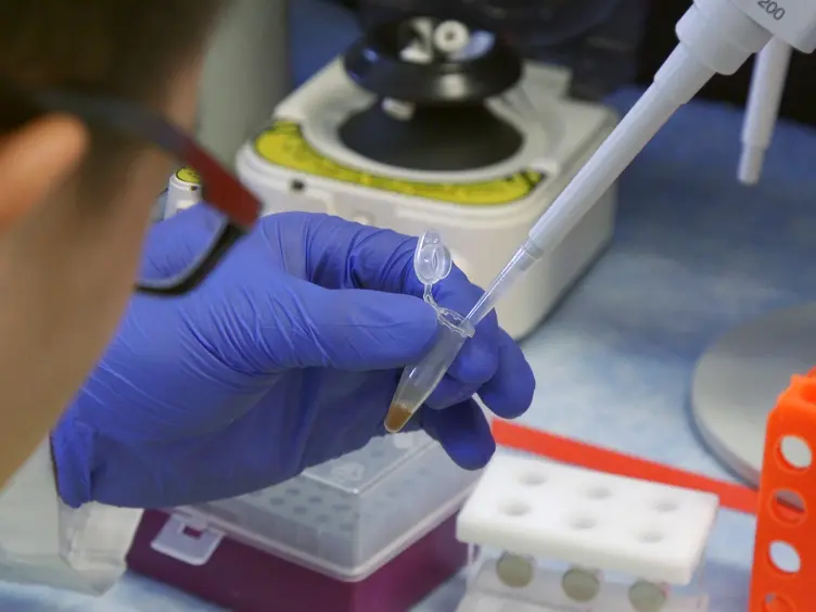 Colorimetric Detection of Bacteria Using Litmus Test