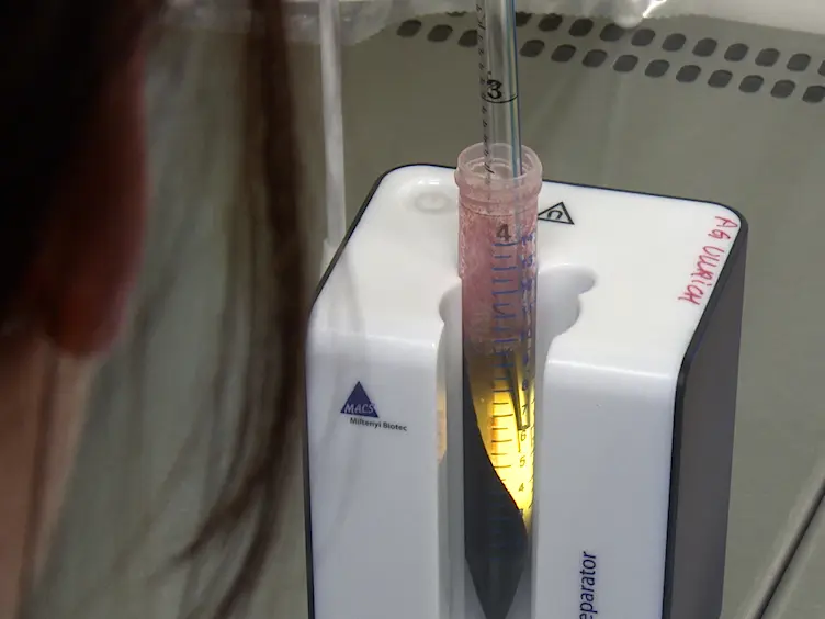 Flow Cytometry-based Assay for the Monitoring of NK Cell Functions
