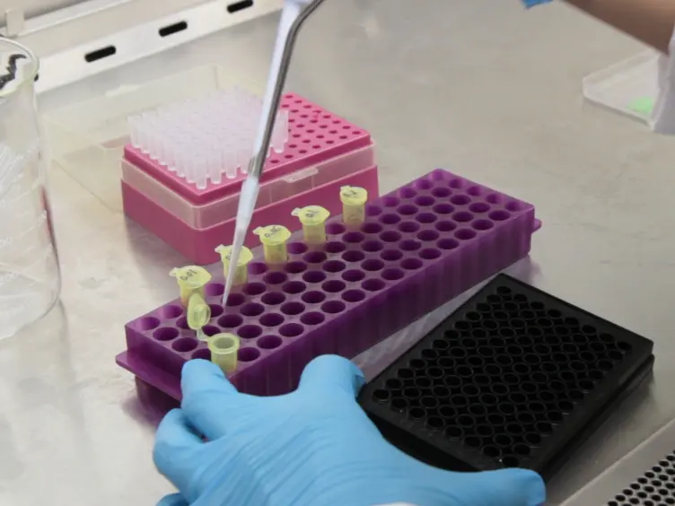 Microglia as a Surrogate Biosensor to Determine Nanoparticle Neurotoxicity