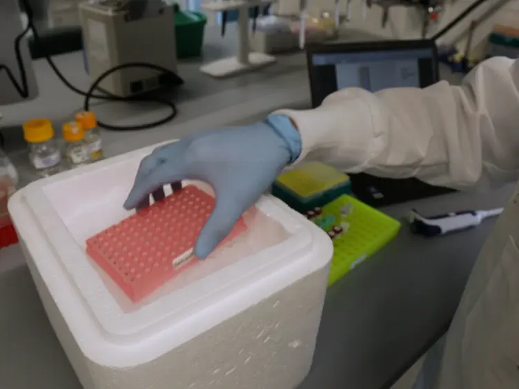 Automated Robotic Liquid Handling Assembly of Modular DNA Devices
