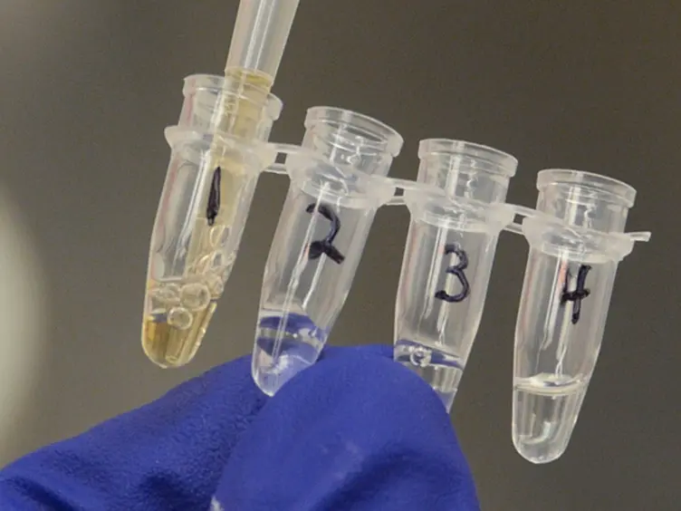 Screening for Endocrine Activity in Water Using Commercially-available <em>In Vitro</em> Transactivation Bioassays