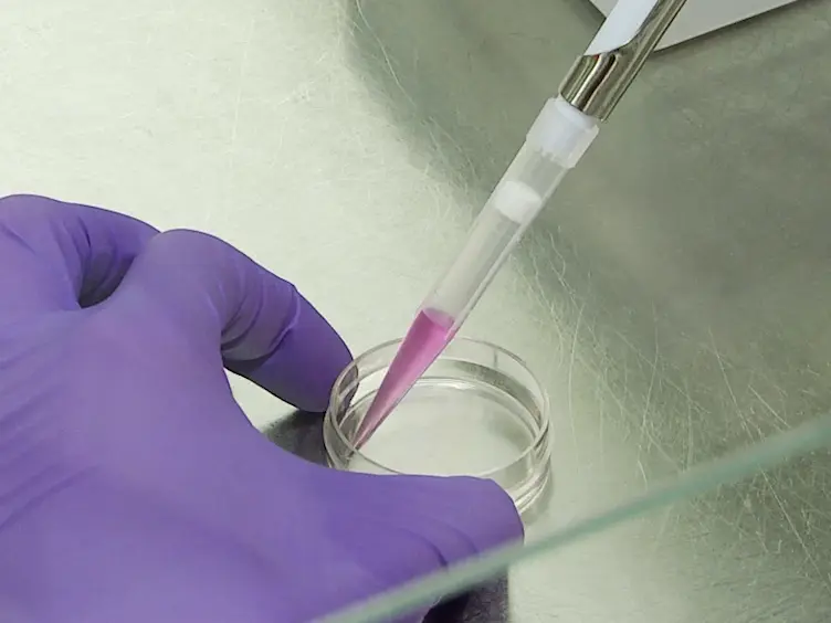 Determination of the Relative Cell Surface and Total Expression of Recombinant Ion Channels Using Flow Cytometry