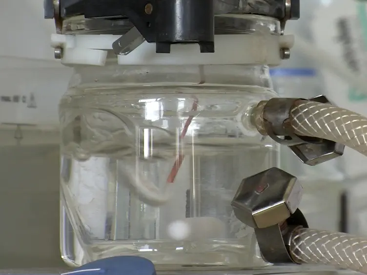 Synthesis of Cationized Magnetoferritin for Ultra-fast Magnetization of Cells