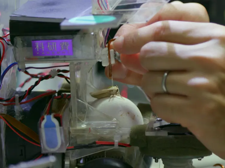 Insect-controlled Robot: A Mobile Robot Platform to Evaluate the Odor-tracking Capability of an Insect