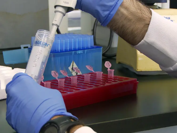 Visualizing the Effects of Sputum on Biofilm Development Using a Chambered Coverglass Model