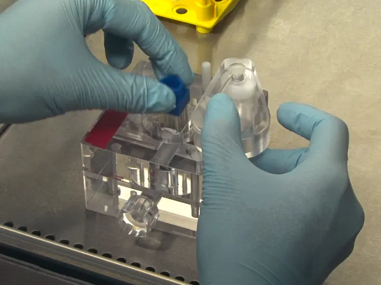 Generation of Murine Monoclonal Antibodies by Hybridoma Technology