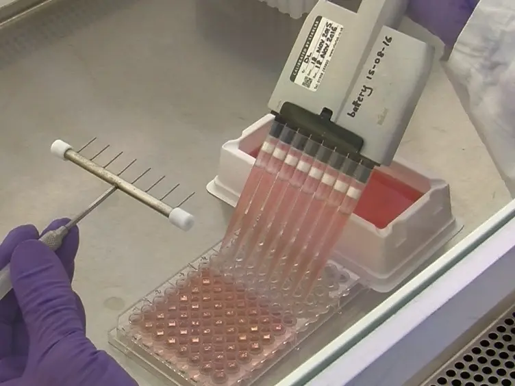 Optimization of a Quantitative Micro-neutralization Assay