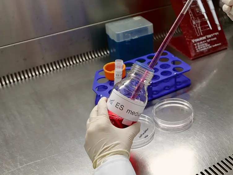 Collection of Serum- and Feeder-free Mouse Embryonic Stem Cell-conditioned Medium for a Cell-free Approach