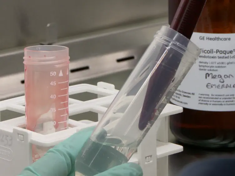 Use of a Monocyte Monolayer Assay to Evaluate Fc&#947; Receptor-mediated Phagocytosis