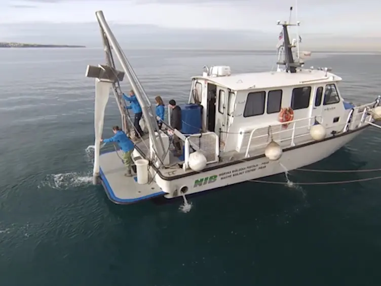 Protocol for Microplastics Sampling on the Sea Surface and Sample Analysis