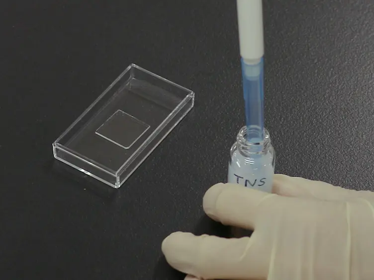 <em>In Situ</em> Synthesis of Gold Nanoparticles without Aggregation in the Interlayer Space of Layered Titanate Transparent Films