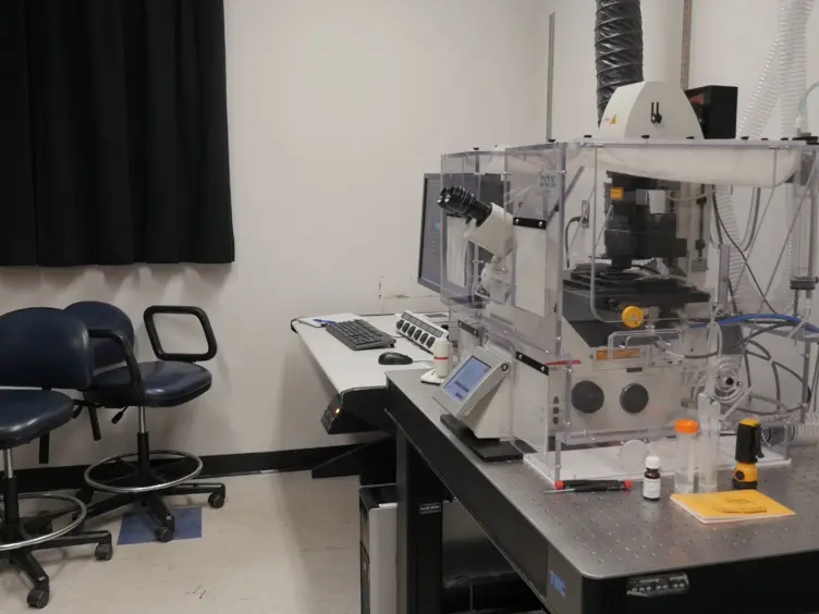 Live Cell Imaging and 3D Analysis of Angiotensin Receptor Type 1a Trafficking in Transfected Human Embryonic Kidney Cells Using Confocal Microscopy