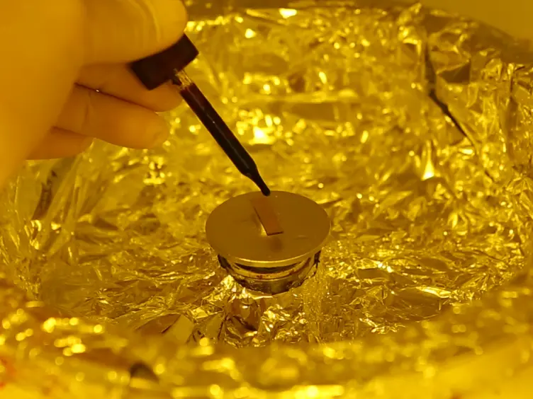 Plasmonic Trapping and Release of Nanoparticles in a Monitoring Environment