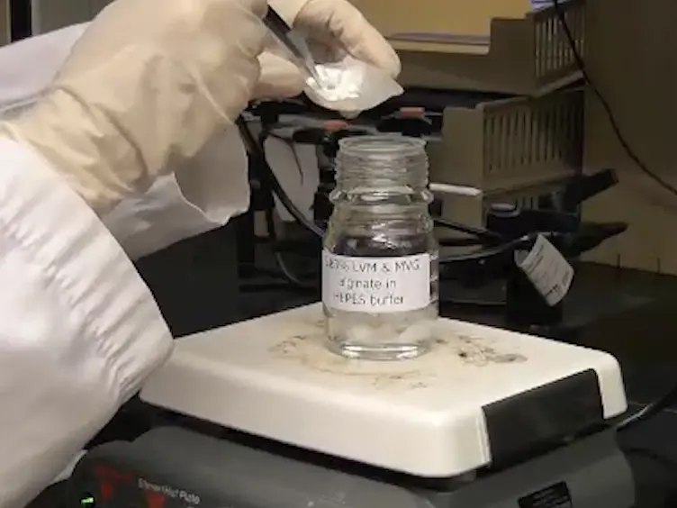 Mammalian Cell Encapsulation in Alginate Beads Using a Simple Stirred Vessel