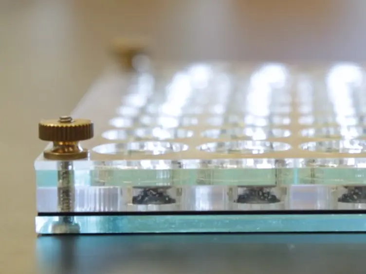 Measuring and Altering Mating Drive in Male <em>Drosophila melanogaster</em>