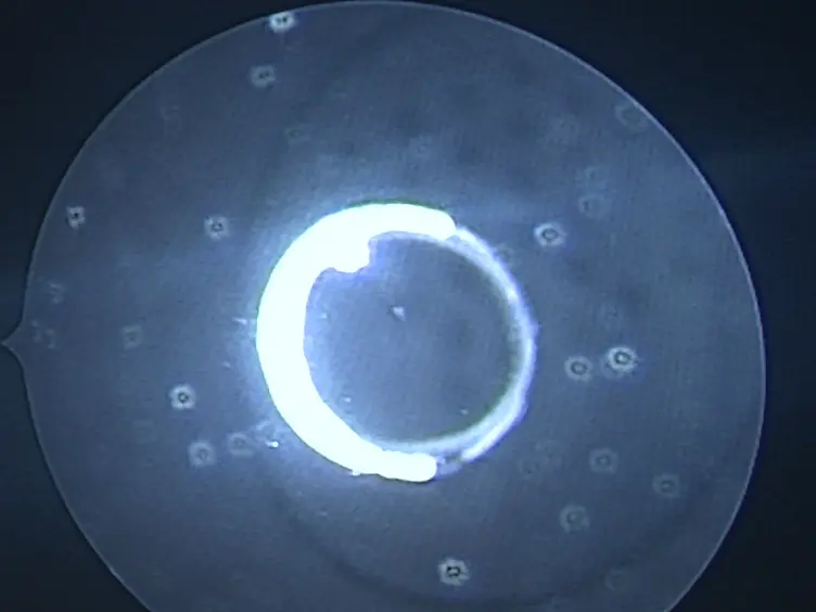 Medical-grade Sterilizable Target for Fluid-immersed Fetoscope Optical Distortion Calibration