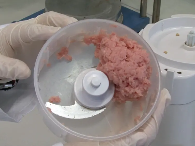Magnetic Stirrer Method for the Detection of <em>Trichinella</em> Larvae in Muscle Samples